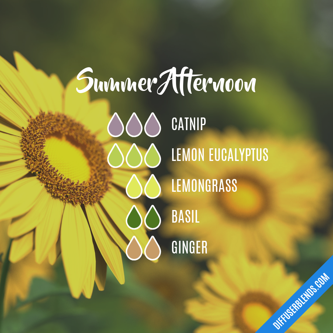Summer Afternoon — Essential Oil Diffuser Blend