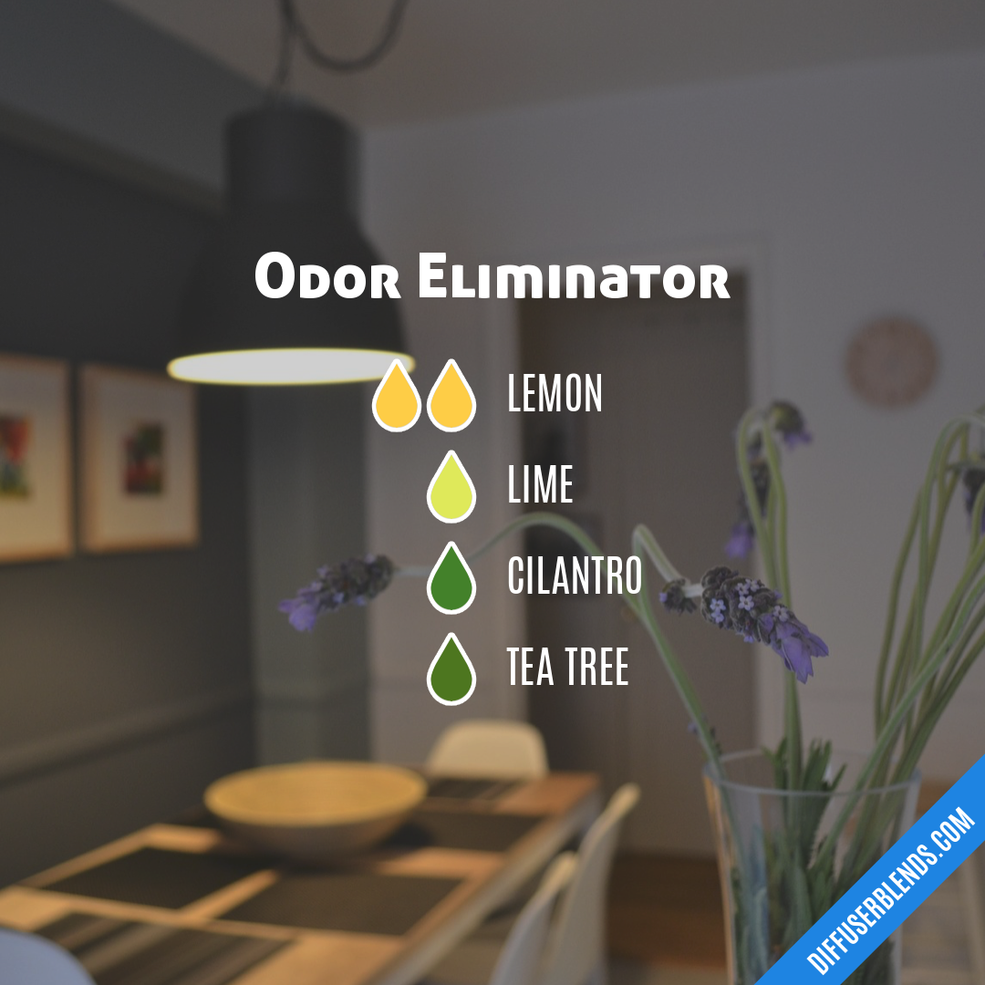 Odor Eliminator — Essential Oil Diffuser Blend