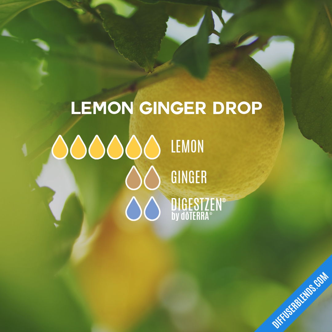 Lemon Ginger Drop — Essential Oil Diffuser Blend