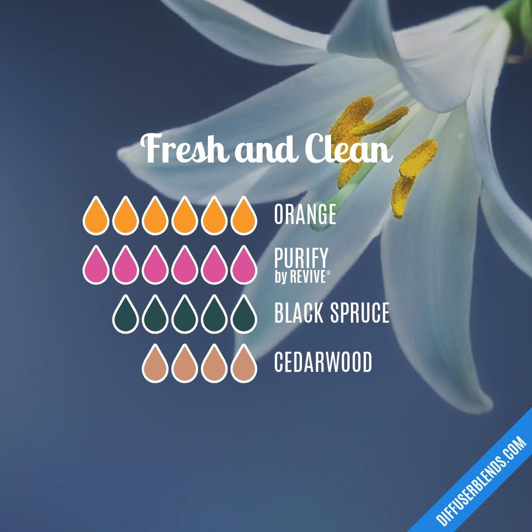 Fresh and Clean — Essential Oil Diffuser Blend