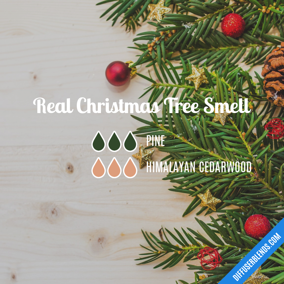 Real Christmas Tree Smell