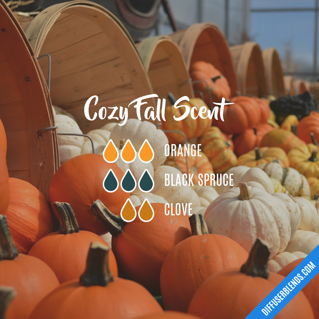 Cozy Fall Scent — Essential Oil Diffuser Blend