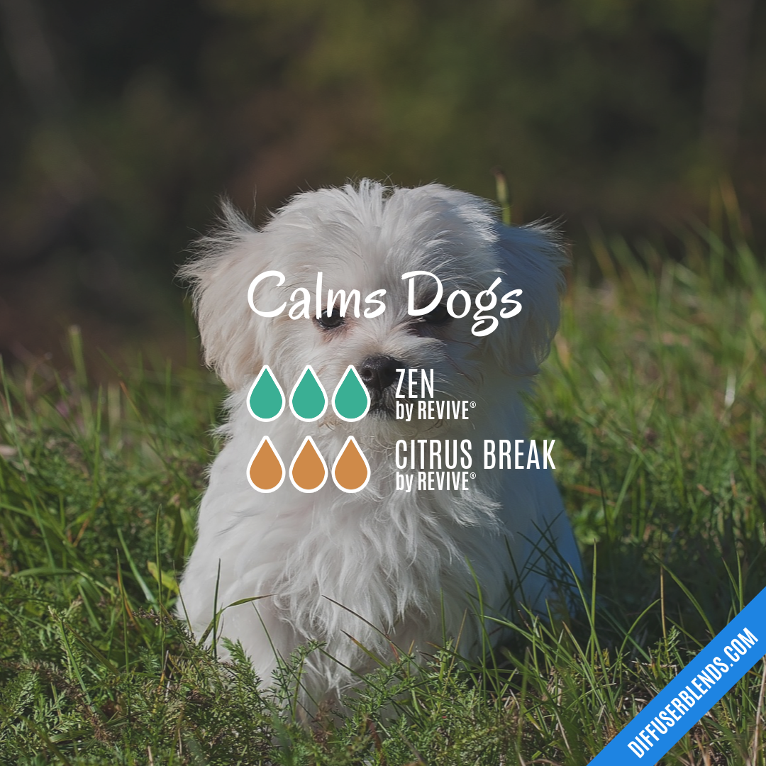 Calms Dogs
