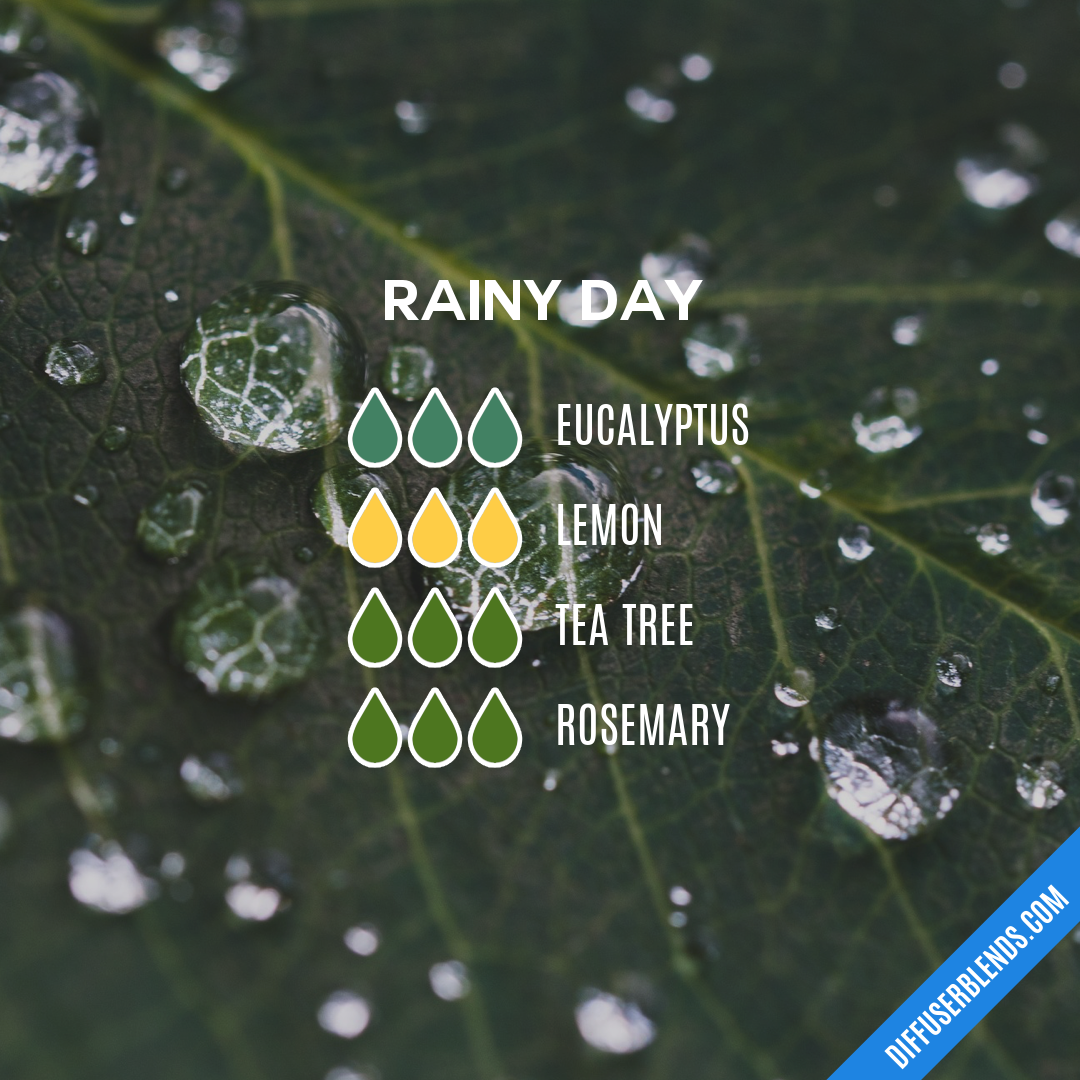 Rainy Day — Essential Oil Diffuser Blend