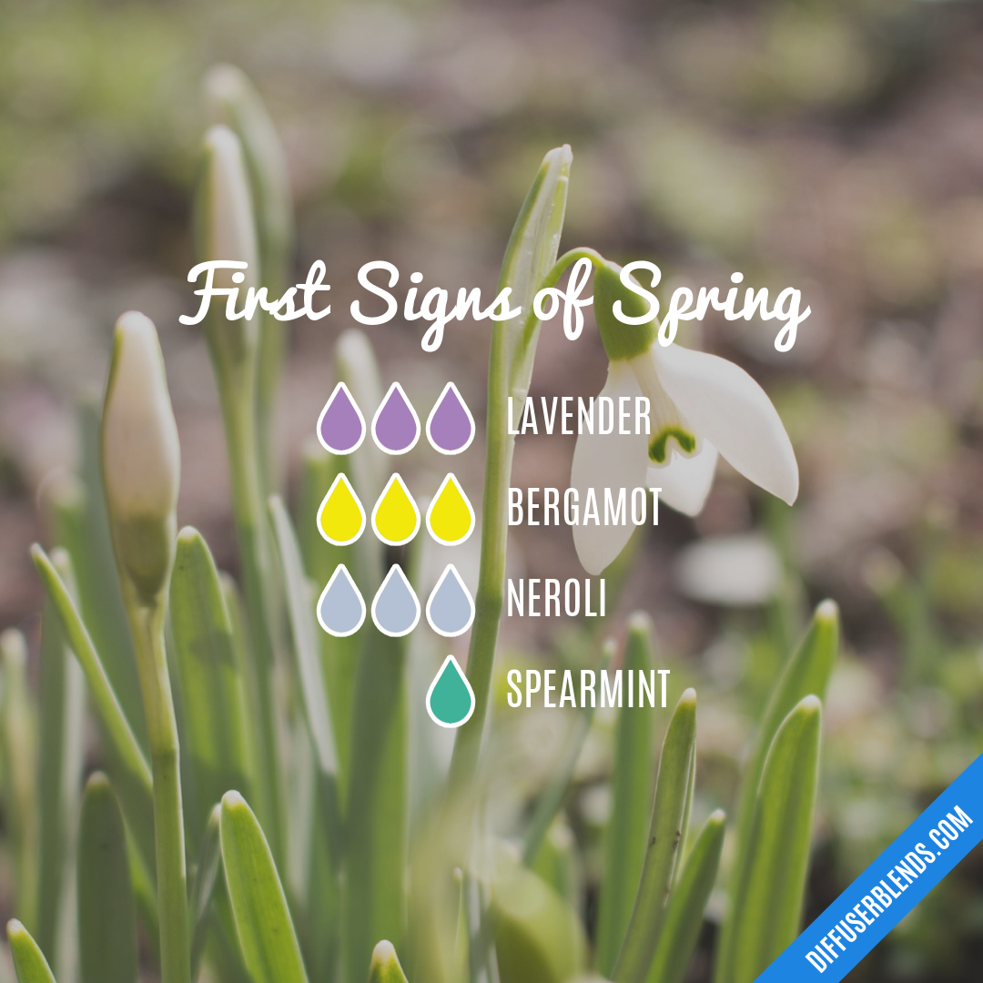 First Signs of Spring — Essential Oil Diffuser Blend
