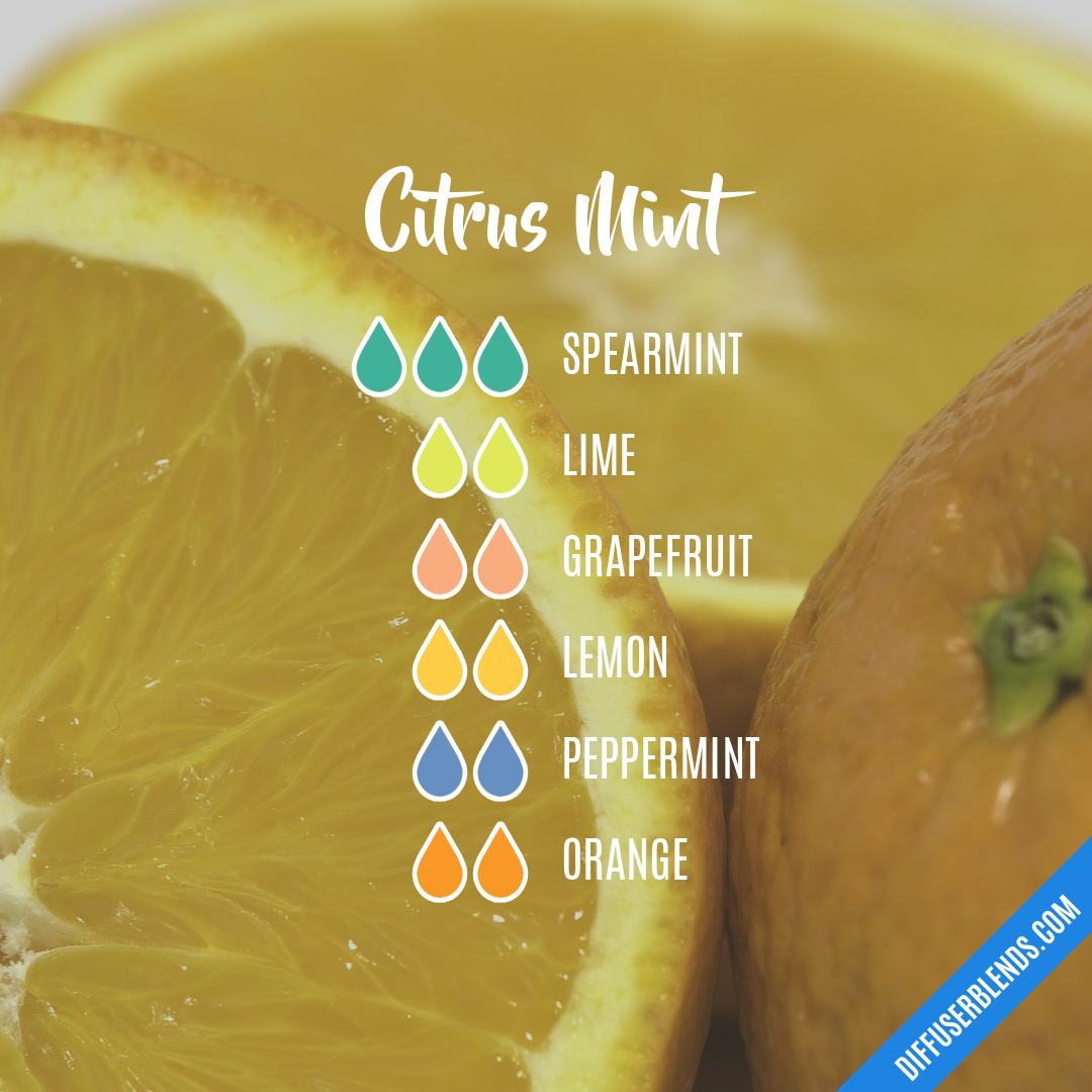 Citrus Mint — Essential Oil Diffuser Blend