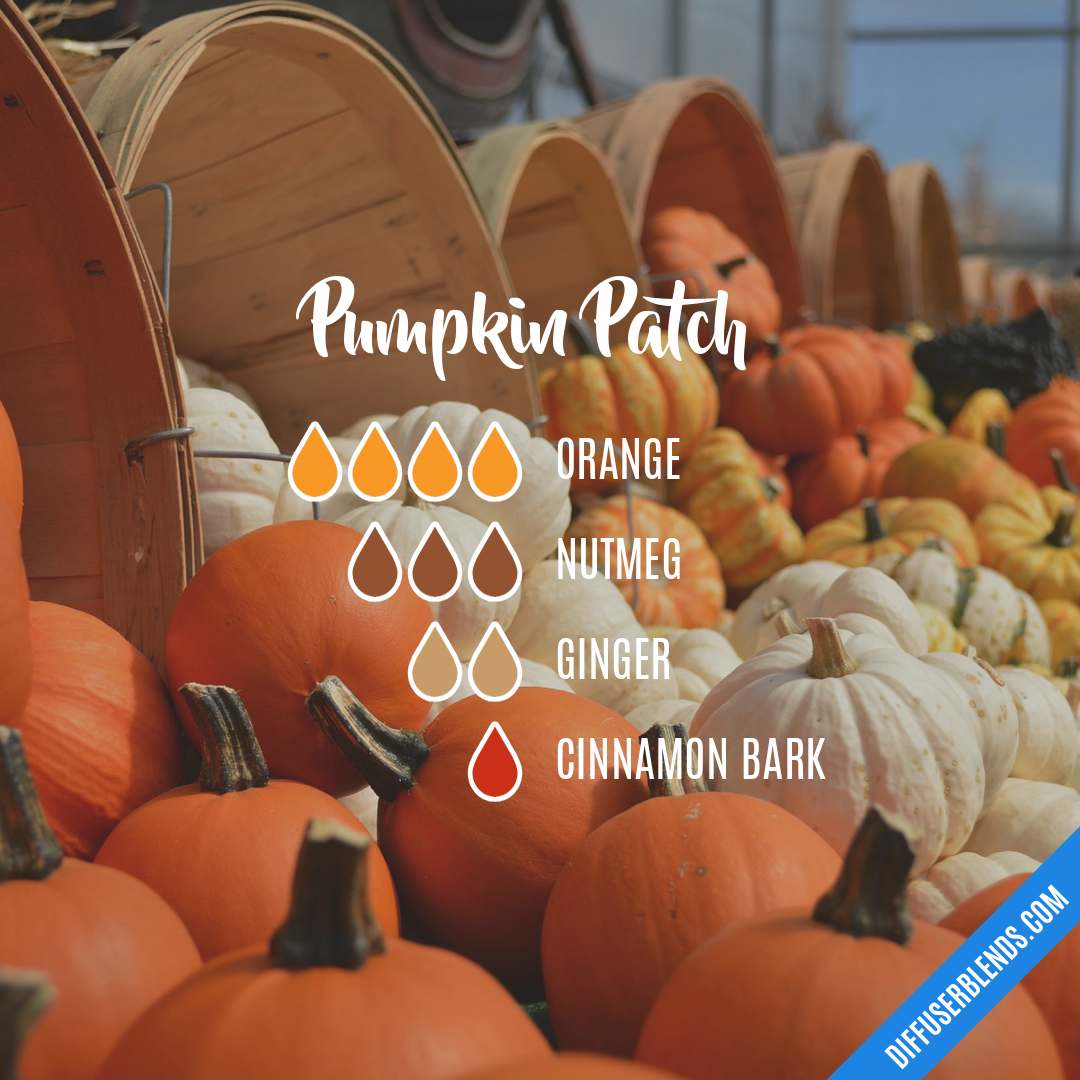 Pumpkin Patch — Essential Oil Diffuser Blend