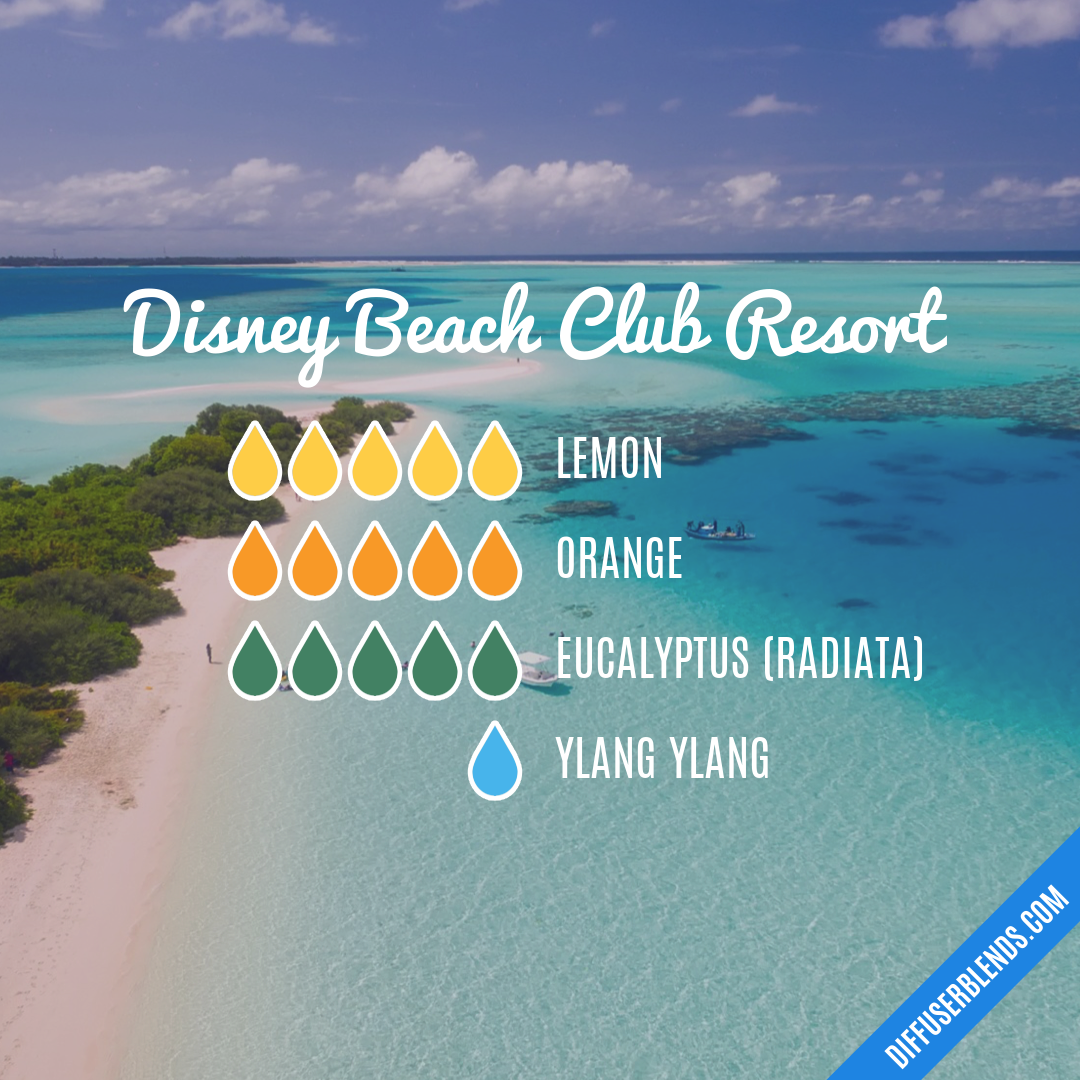 Disney Beach Club Resort — Essential Oil Diffuser Blend