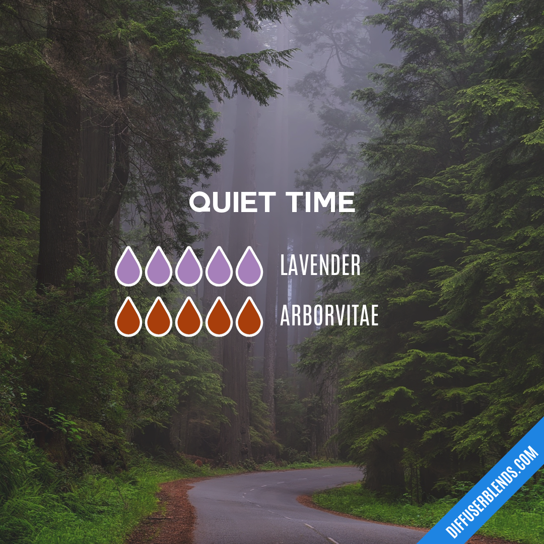 Quiet Time — Essential Oil Diffuser Blend