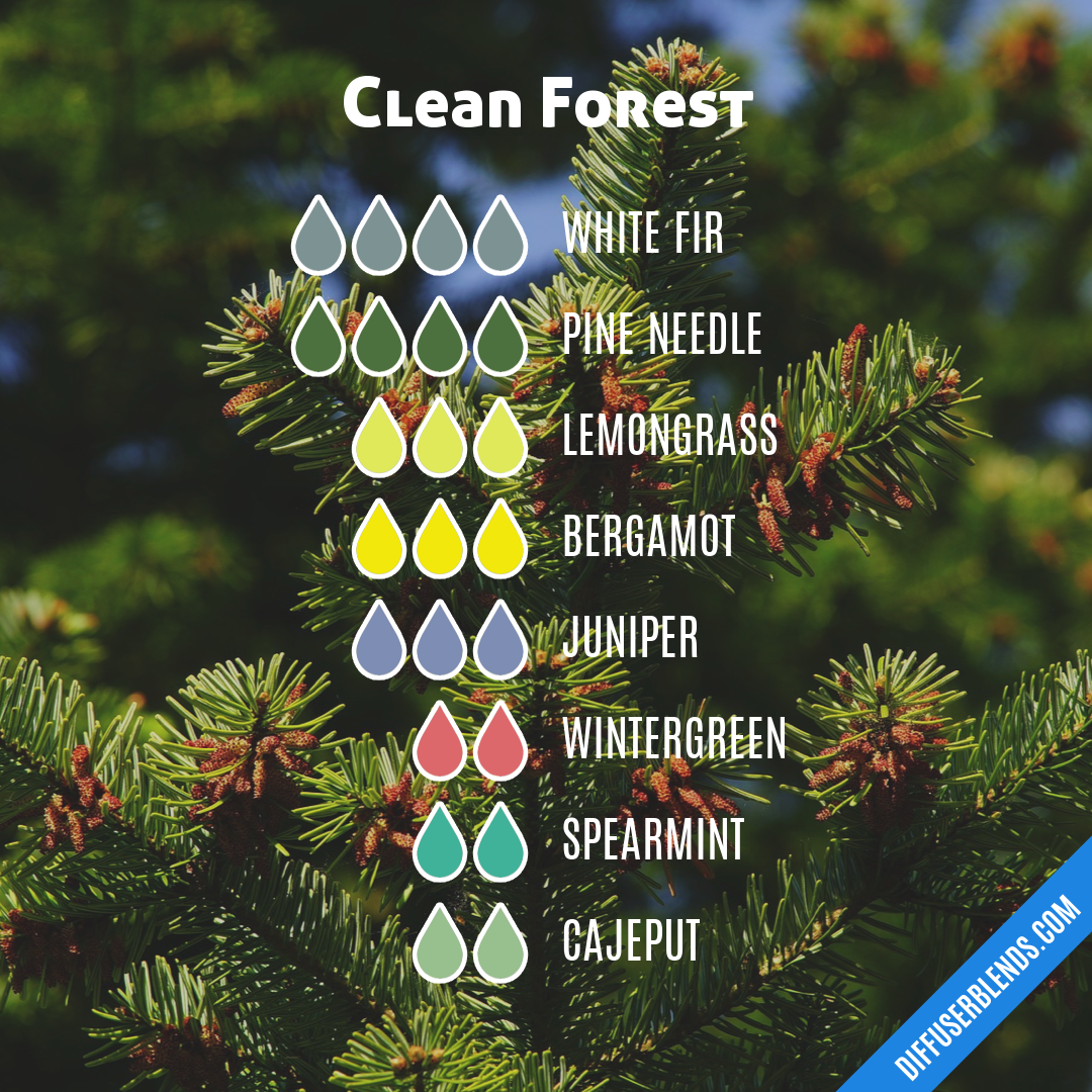 Clean Forest — Essential Oil Diffuser Blend