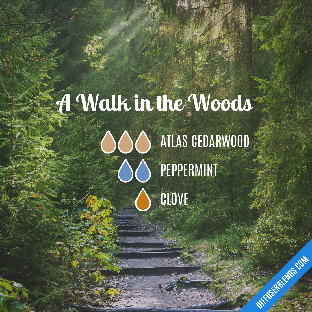 A Walk in the Woods — Essential Oil Diffuser Blend