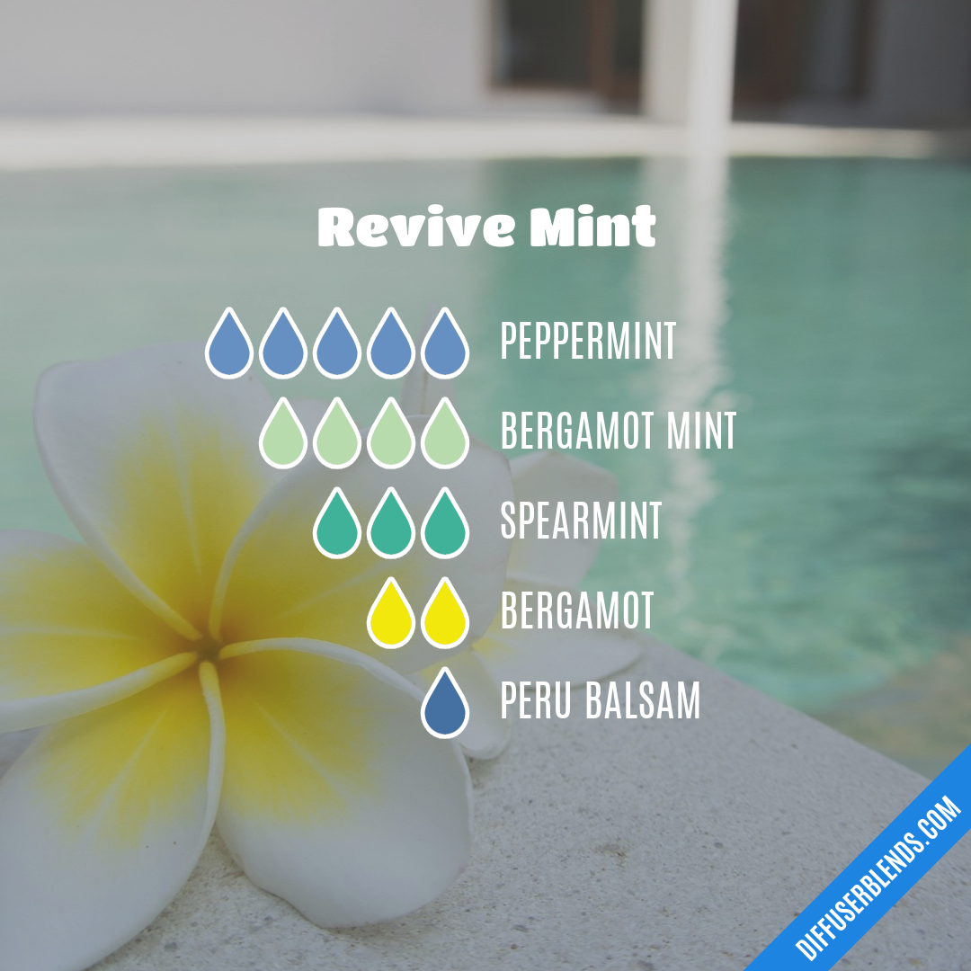 Revive Mint — Essential Oil Diffuser Blend
