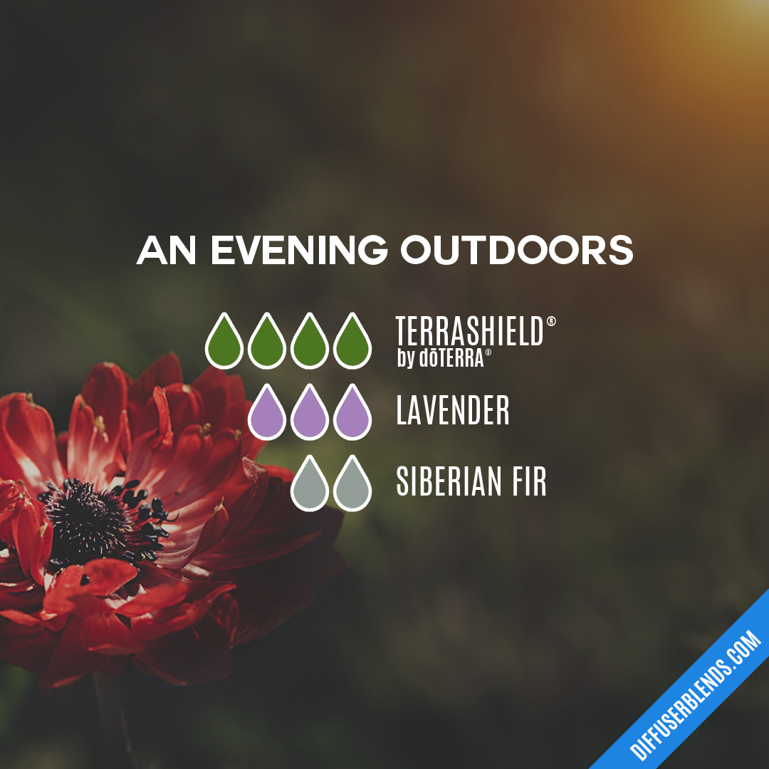 An Evening Outdoors — Essential Oil Diffuser Blend