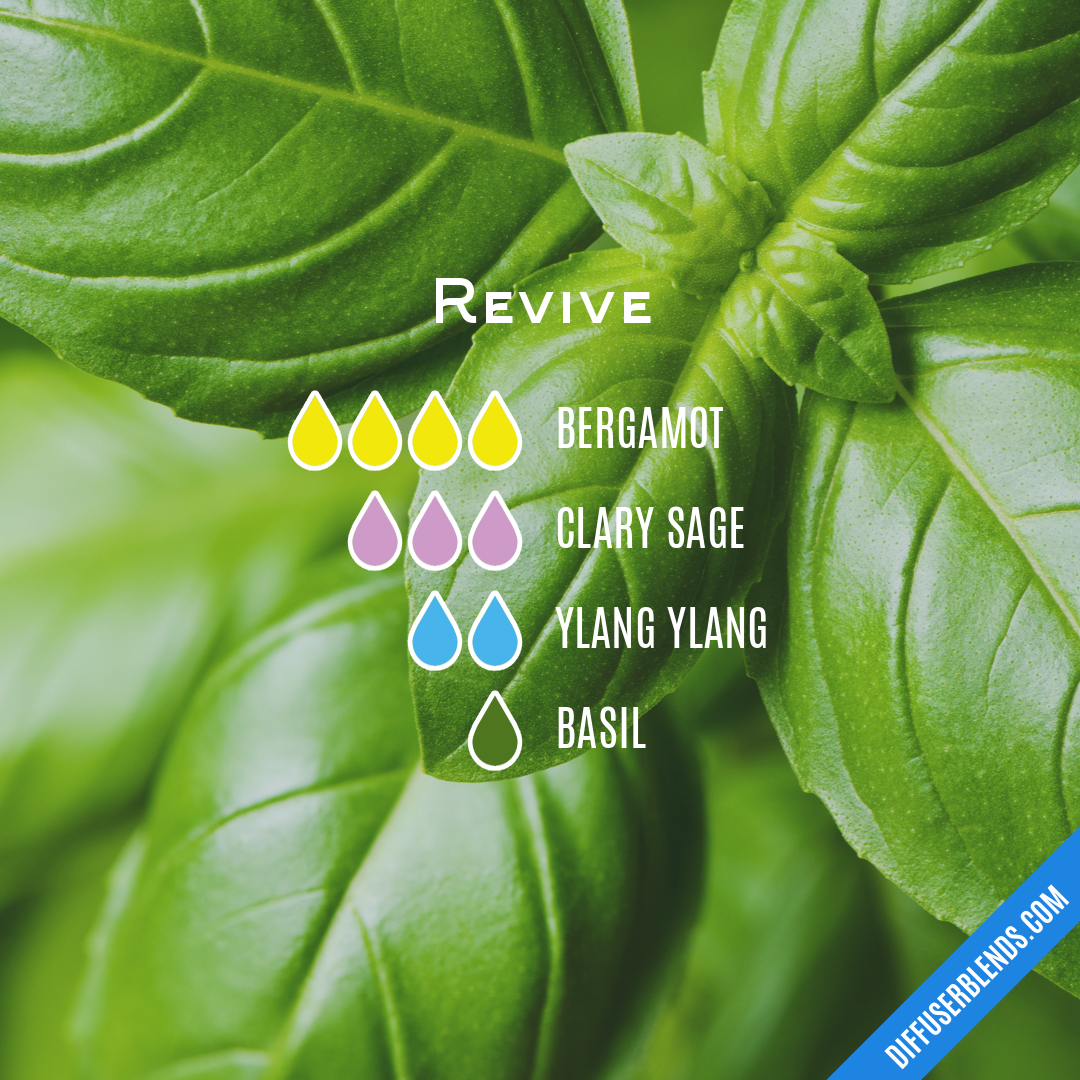 Revive — Essential Oil Diffuser Blend