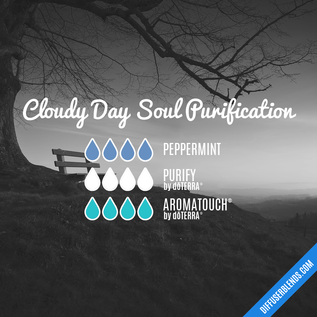 Cloudy Day Soul Purification — Essential Oil Diffuser Blend