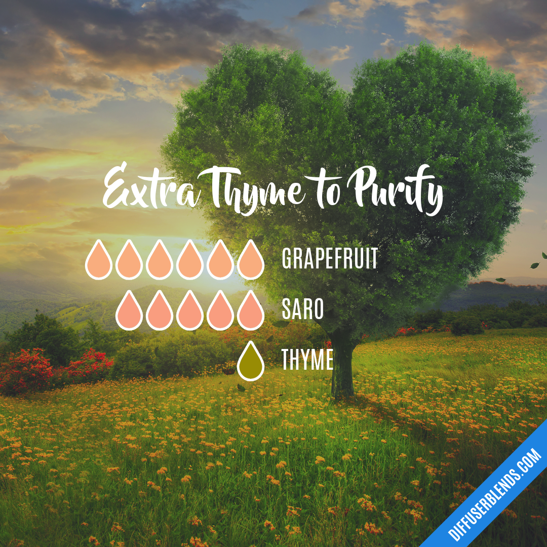 Extra Thyme to Purify — Essential Oil Diffuser Blend