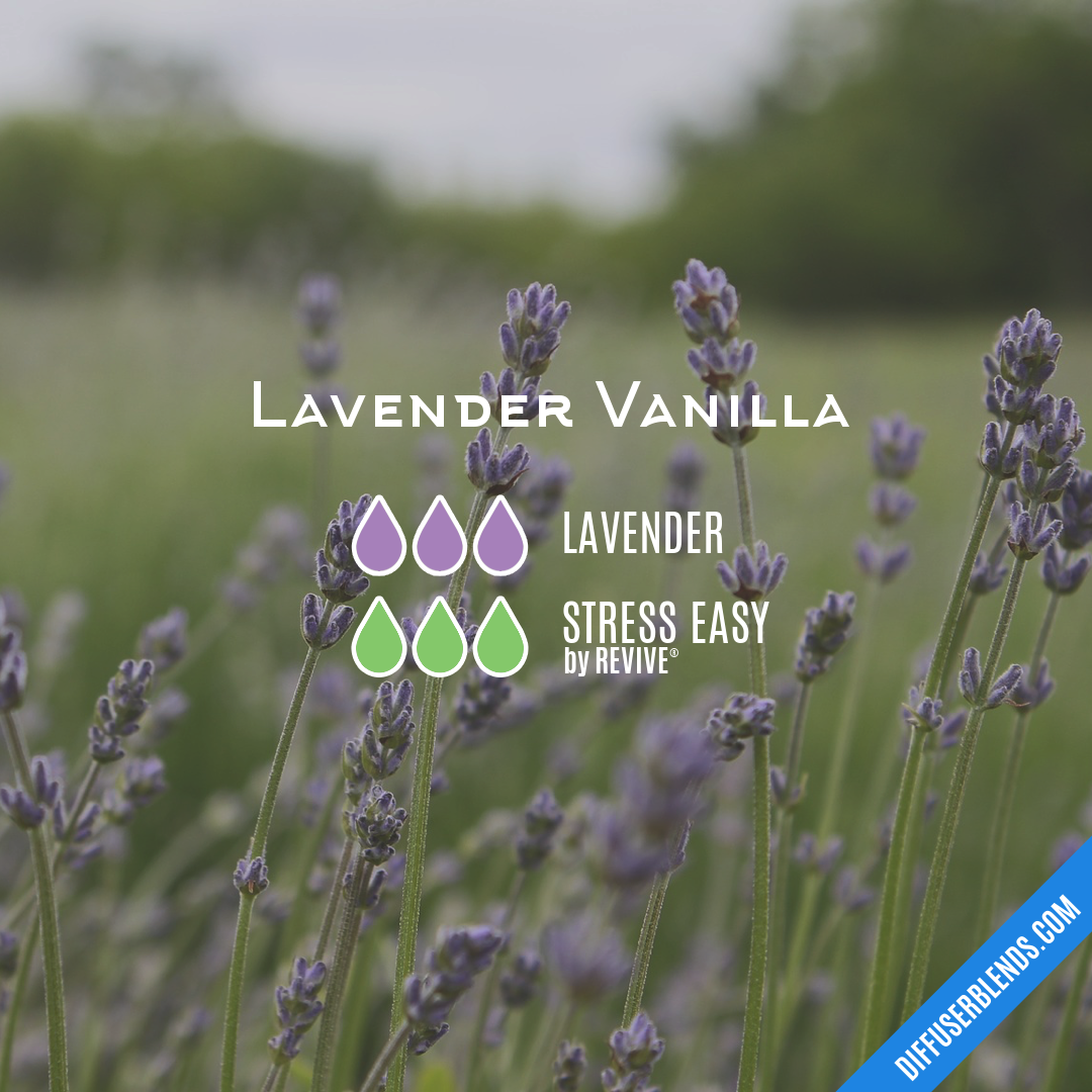 Lavender Vanilla — Essential Oil Diffuser Blend