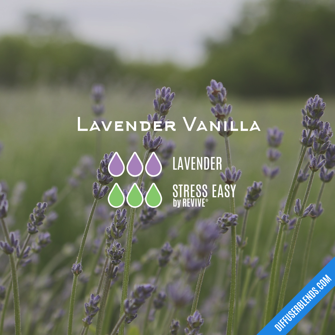 Lavender Vanilla Body Oil Blend