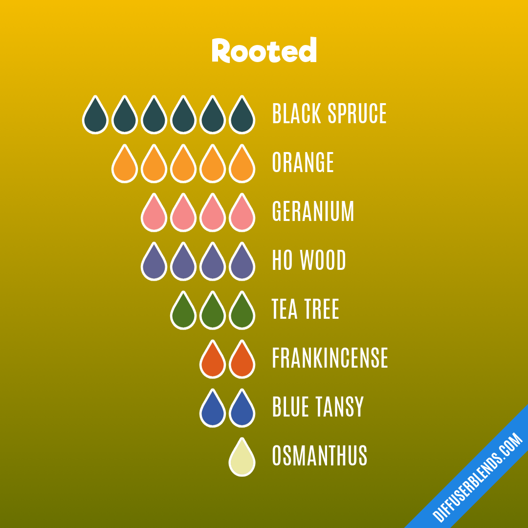 Rooted — Essential Oil Diffuser Blend