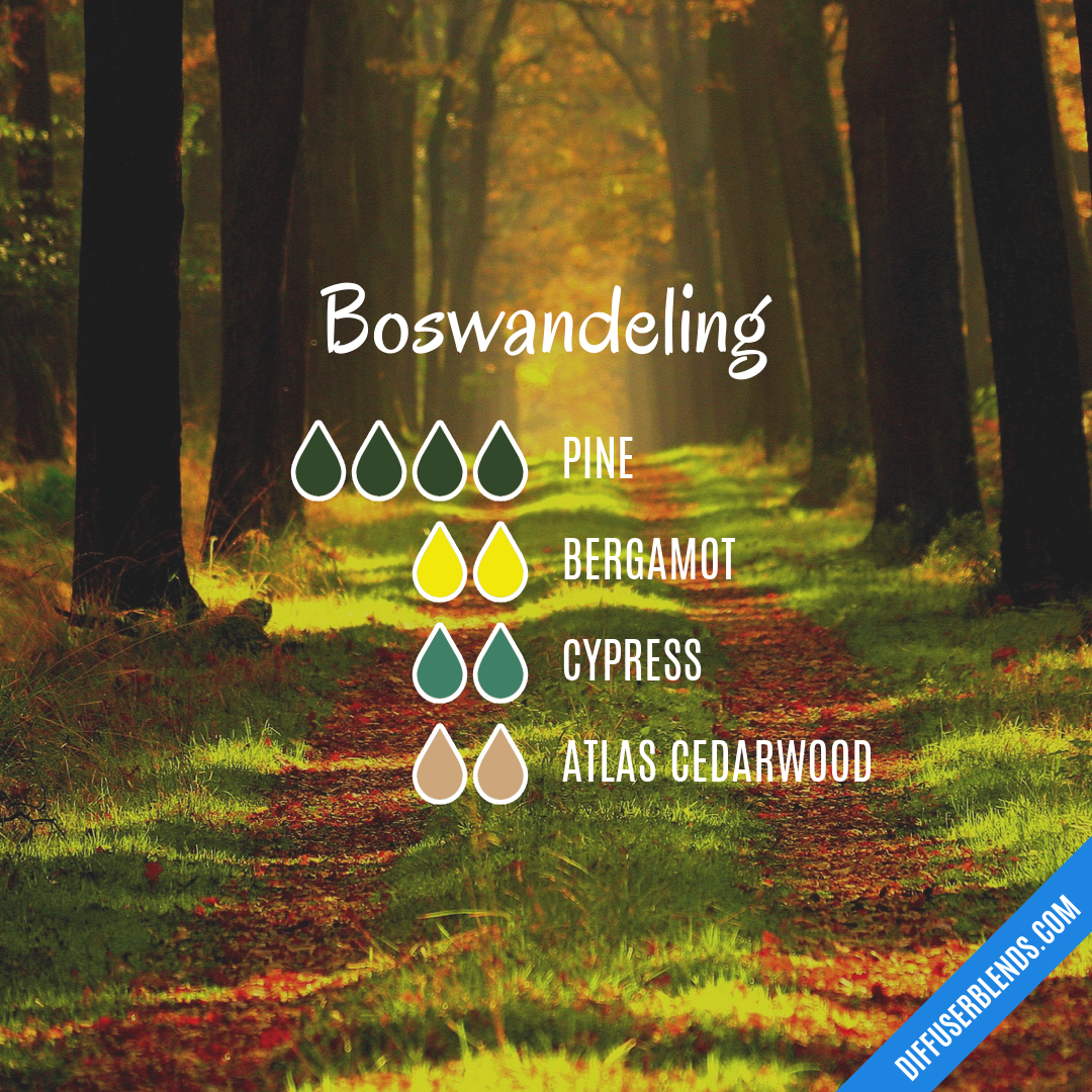 Boswandeling — Essential Oil Diffuser Blend