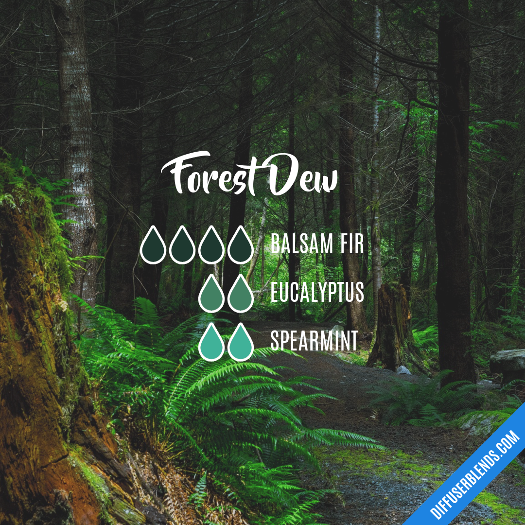 Forest Dew — Essential Oil Diffuser Blend
