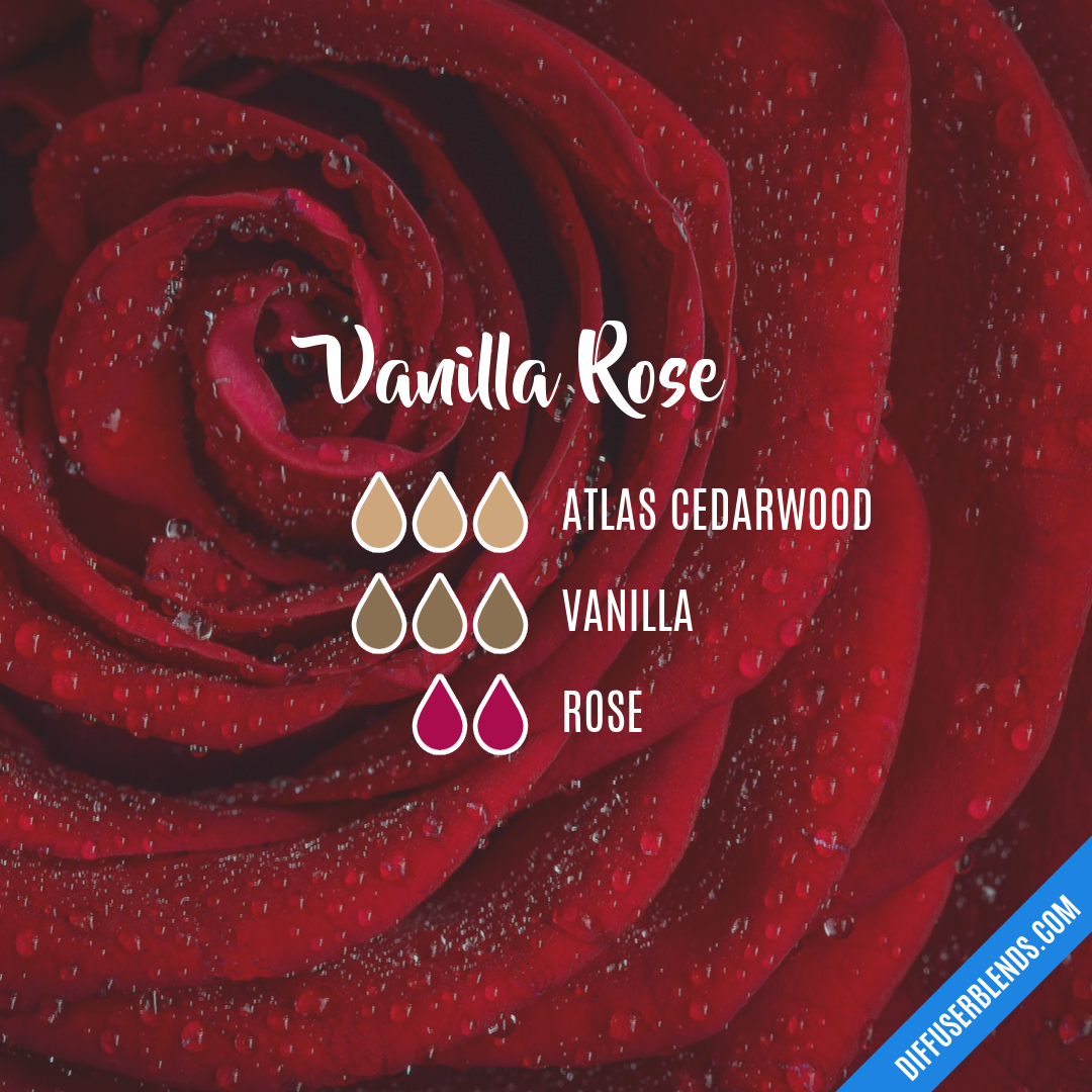 Vanilla Rose — Essential Oil Diffuser Blend