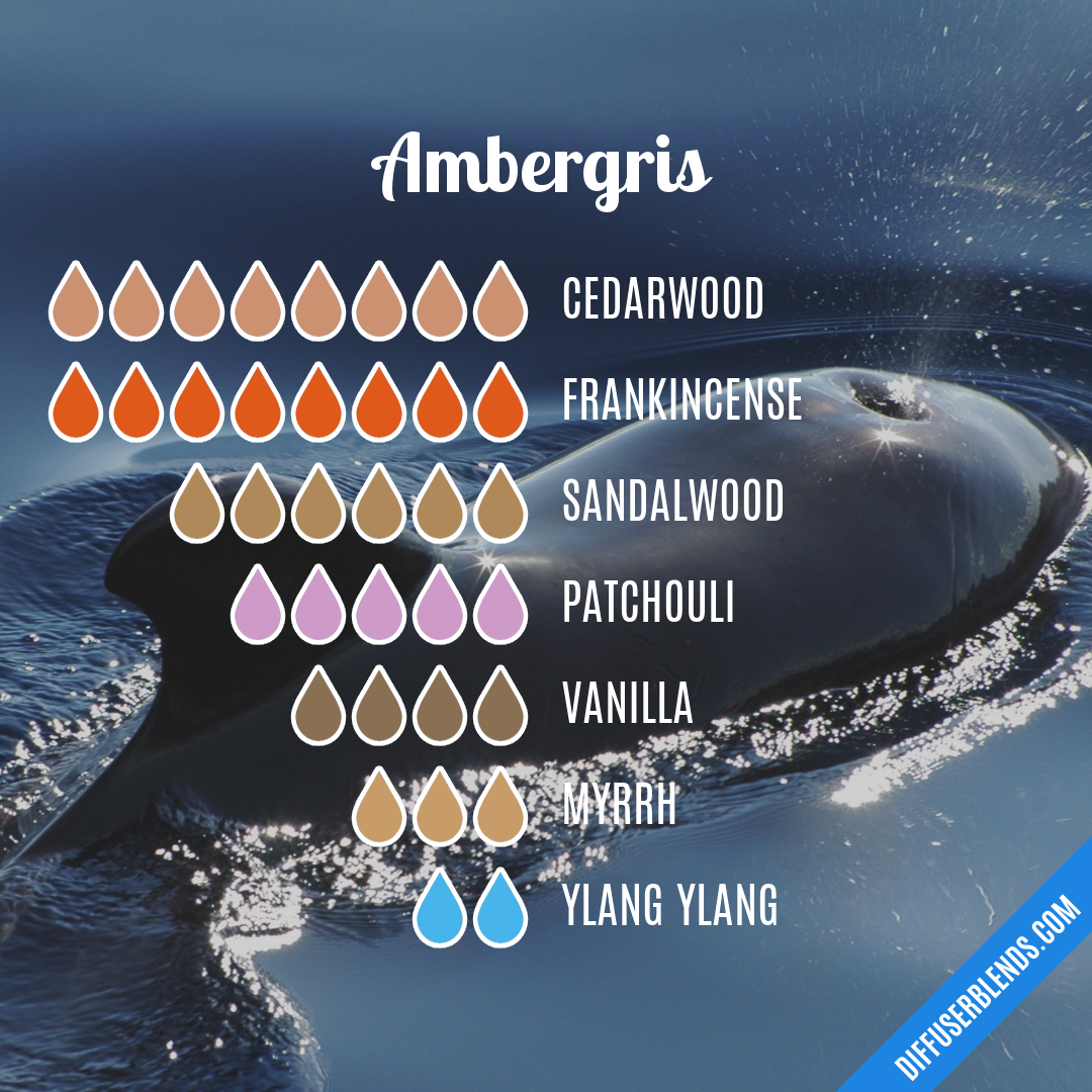 Ambergris — Essential Oil Diffuser Blend