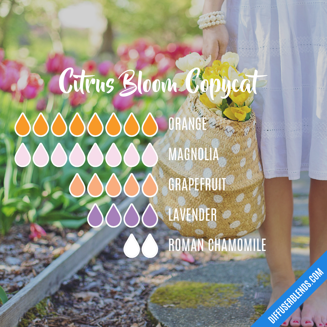 Citrus Bloom Copycat — Essential Oil Diffuser Blend