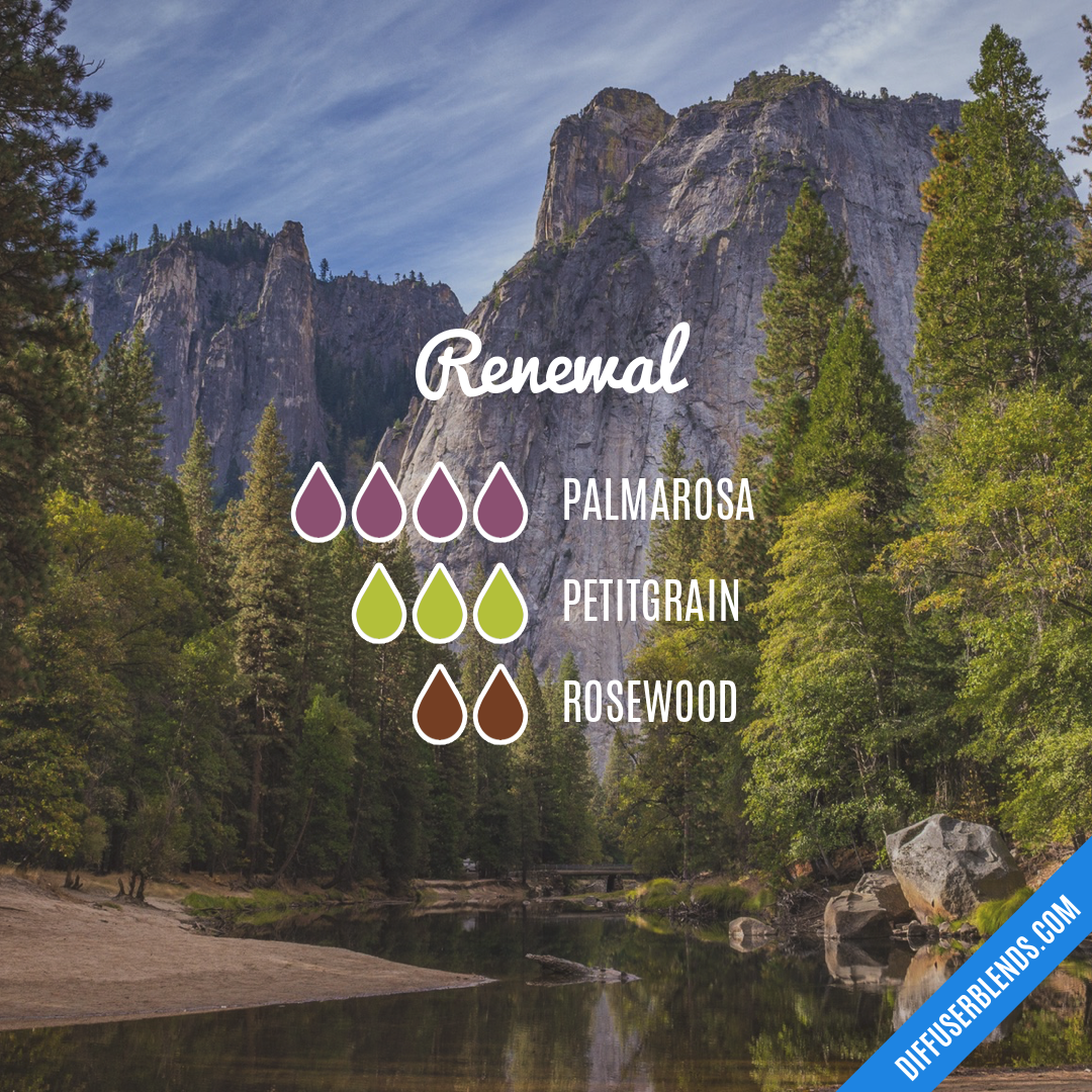 Renewal — Essential Oil Diffuser Blend