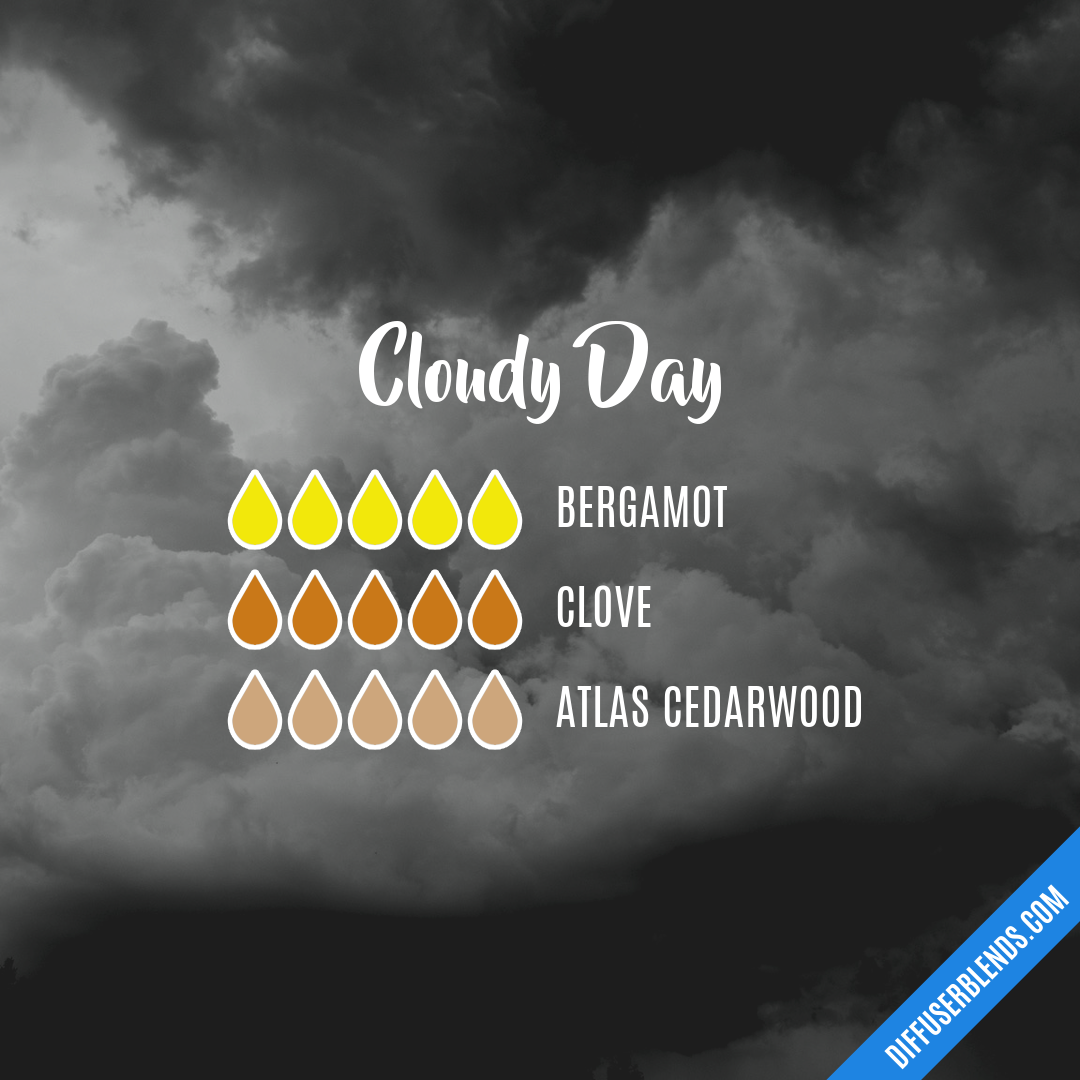 Cloudy Day — Essential Oil Diffuser Blend