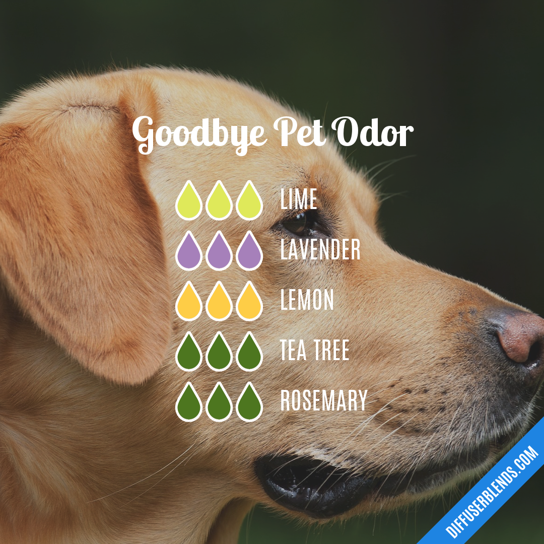 Goodbye Pet Odor — Essential Oil Diffuser Blend