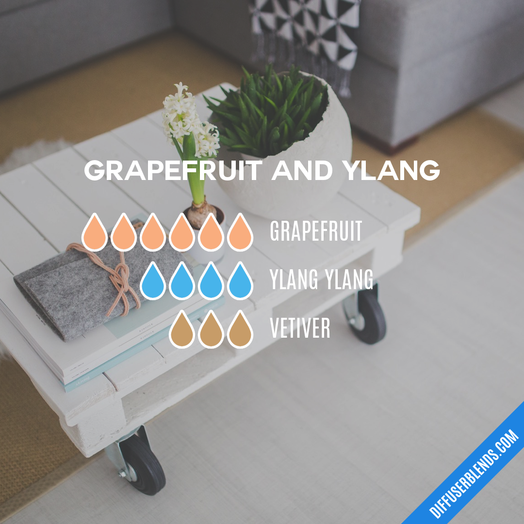 Grapefruit and Ylang — Essential Oil Diffuser Blend