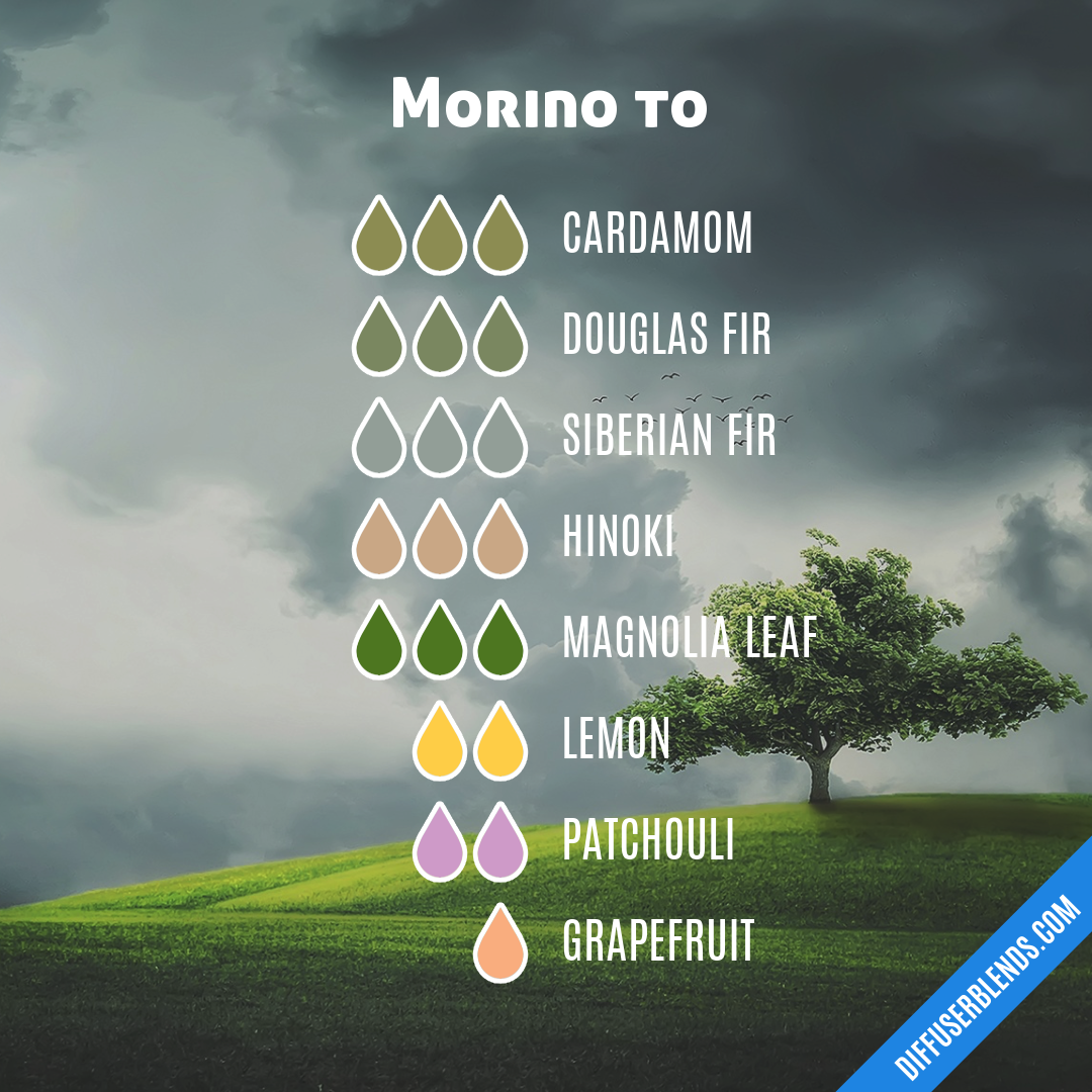 Morino to — Essential Oil Diffuser Blend