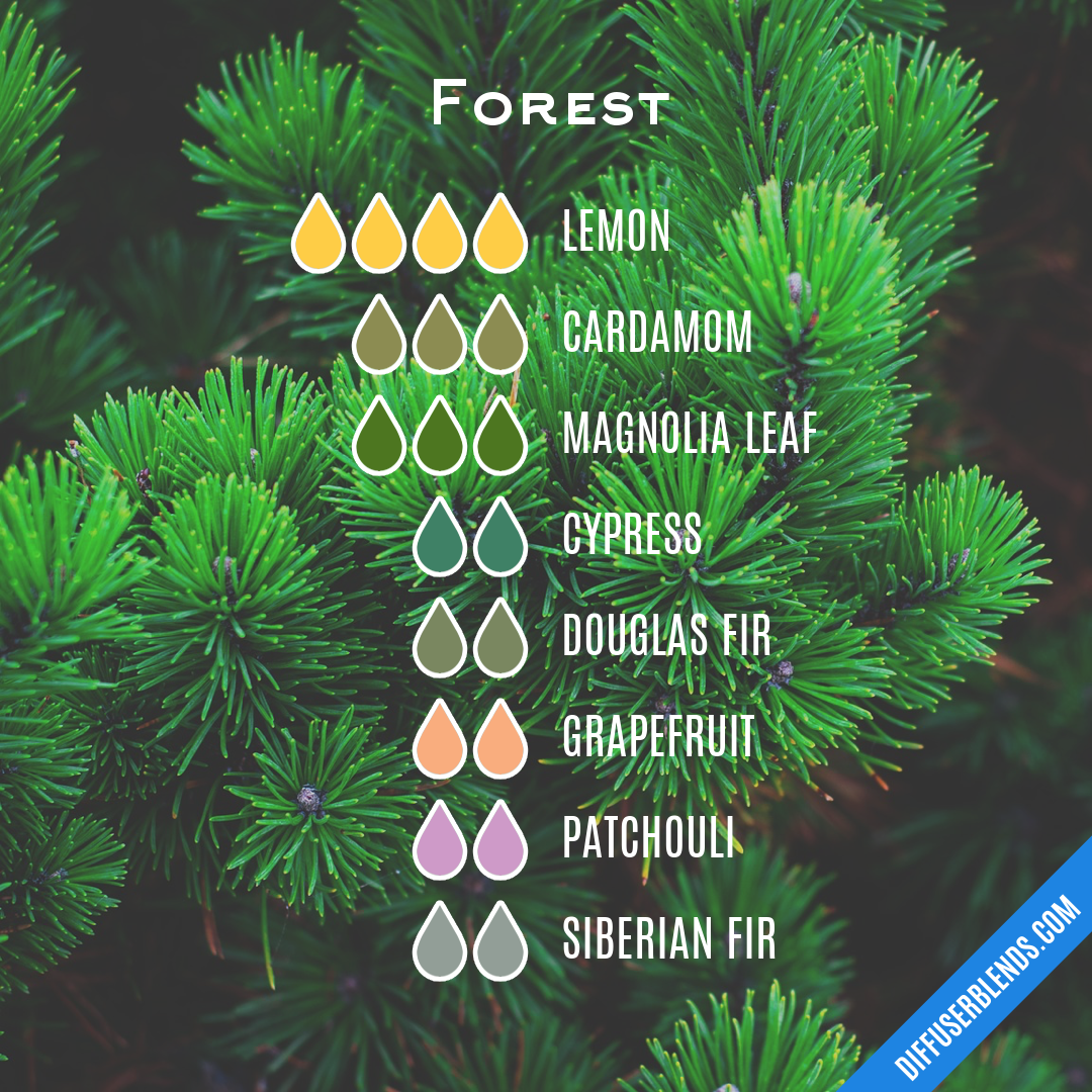 Forest — Essential Oil Diffuser Blend