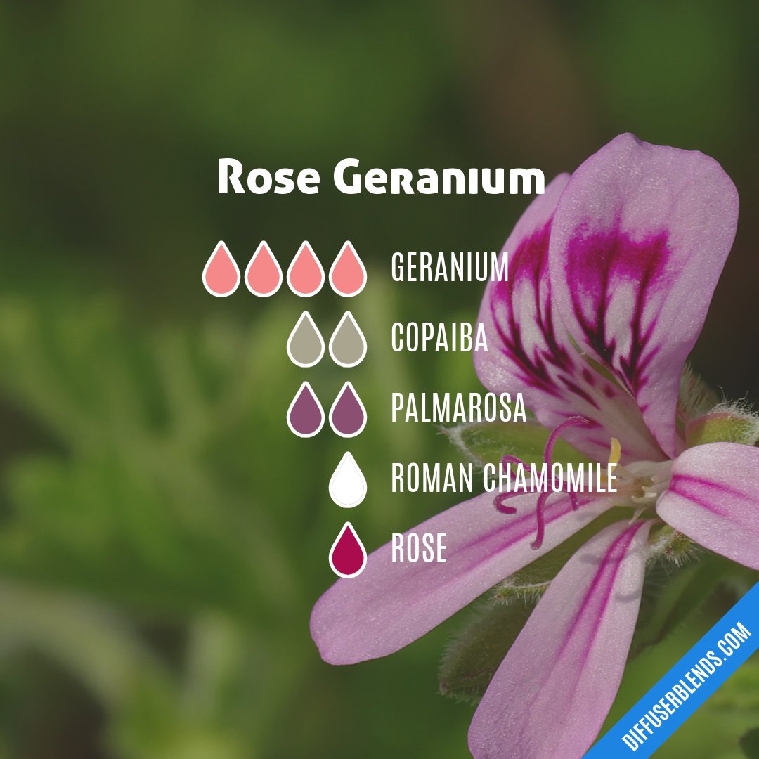 Rose Geranium — Essential Oil Diffuser Blend
