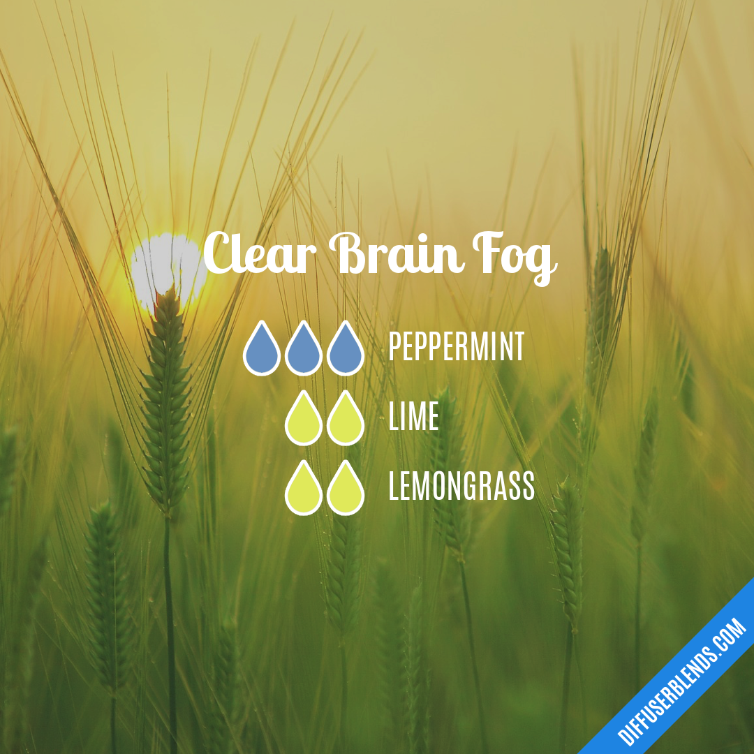 Clear Brain Fog — Essential Oil Diffuser Blend