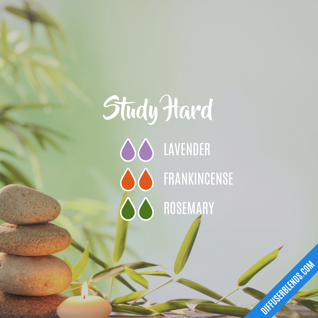 Study Hard — Essential Oil Diffuser Blend