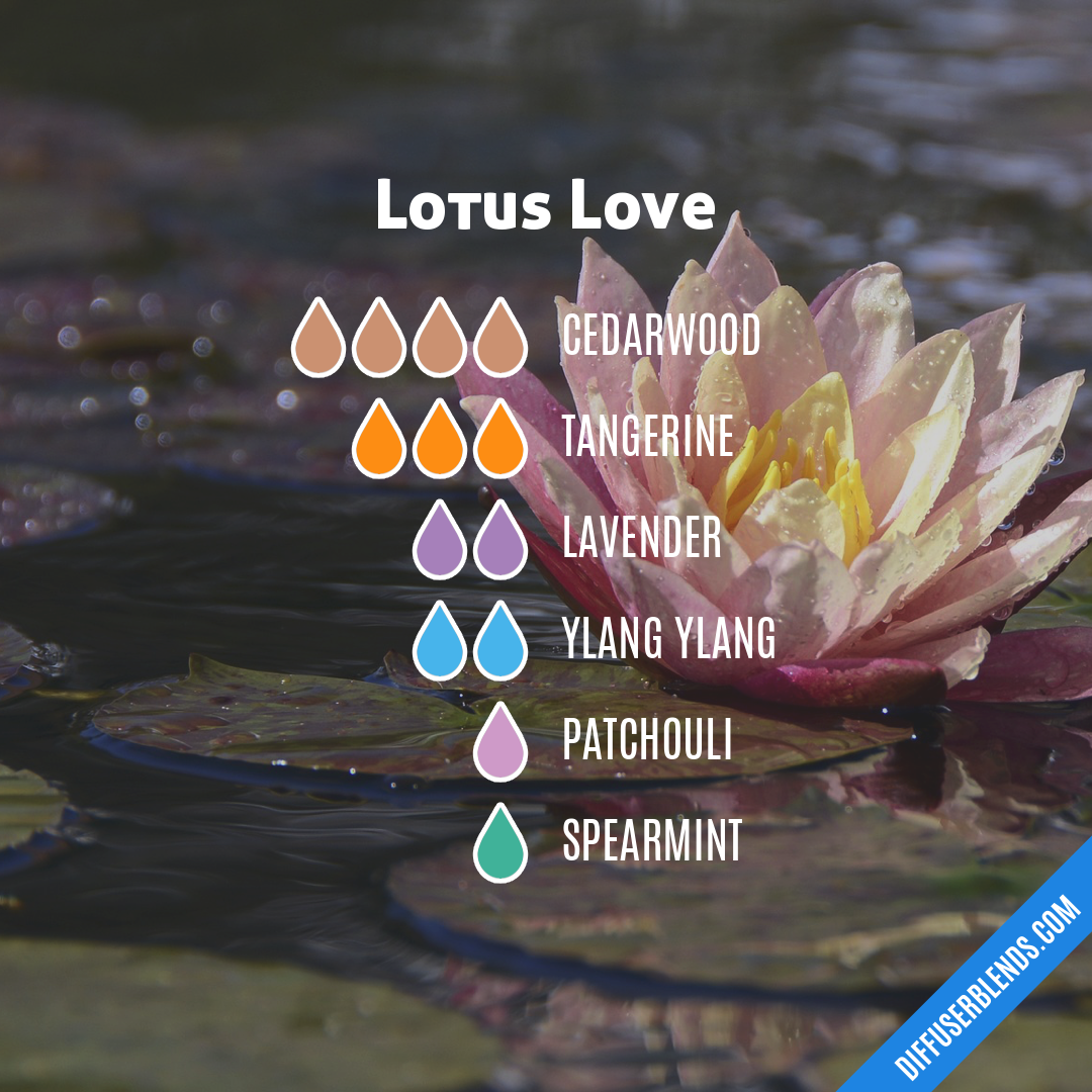 Lotus Love — Essential Oil Diffuser Blend