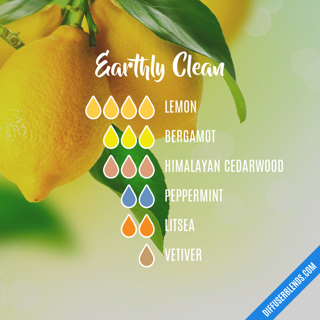 Earthly Clean — Essential Oil Diffuser Blend