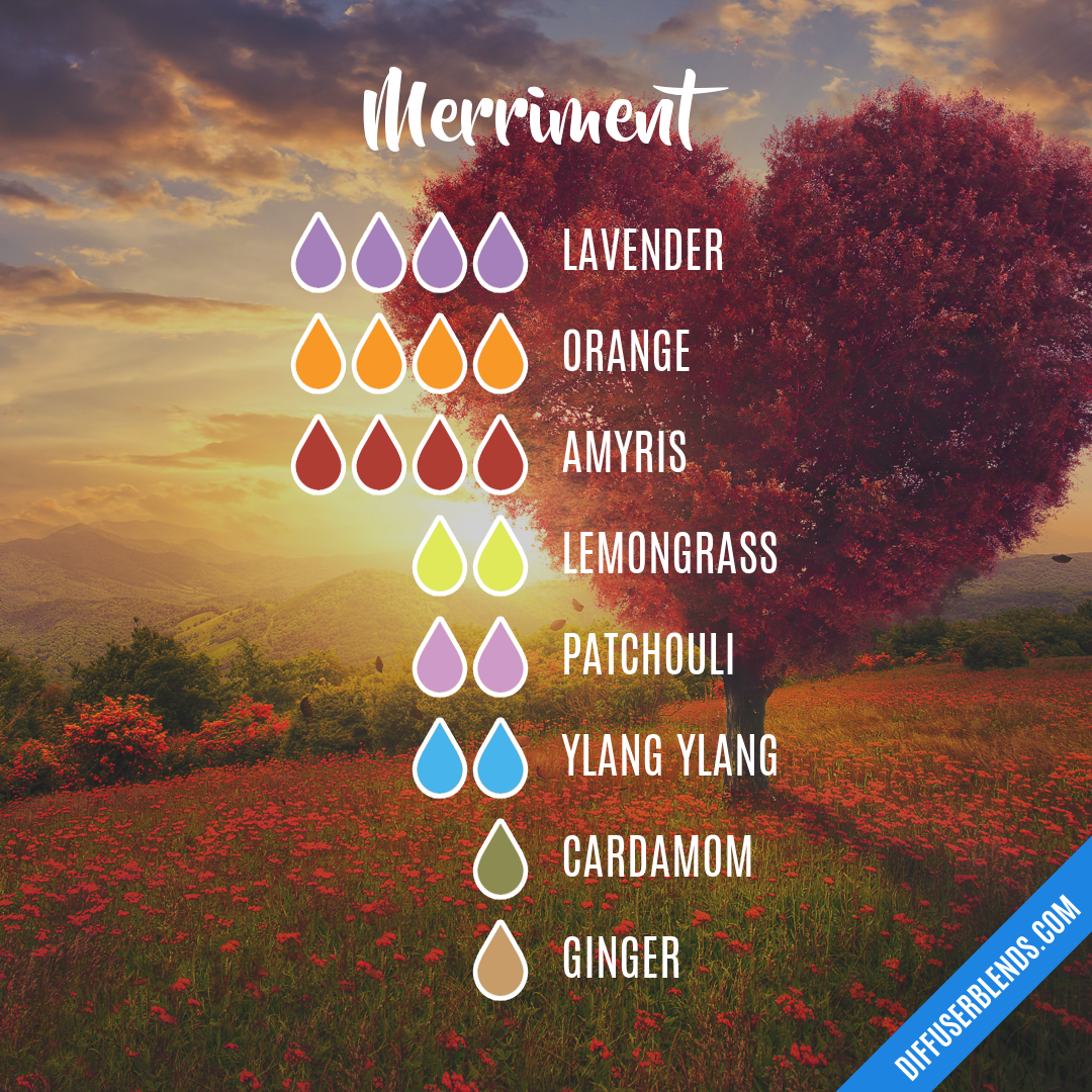 Merriment — Essential Oil Diffuser Blend