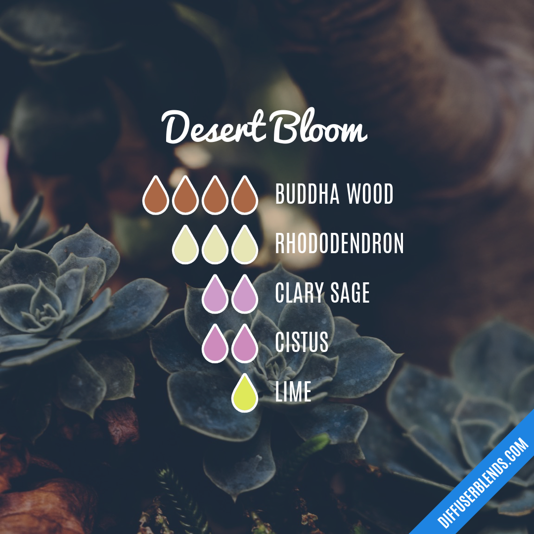 Desert Bloom — Essential Oil Diffuser Blend