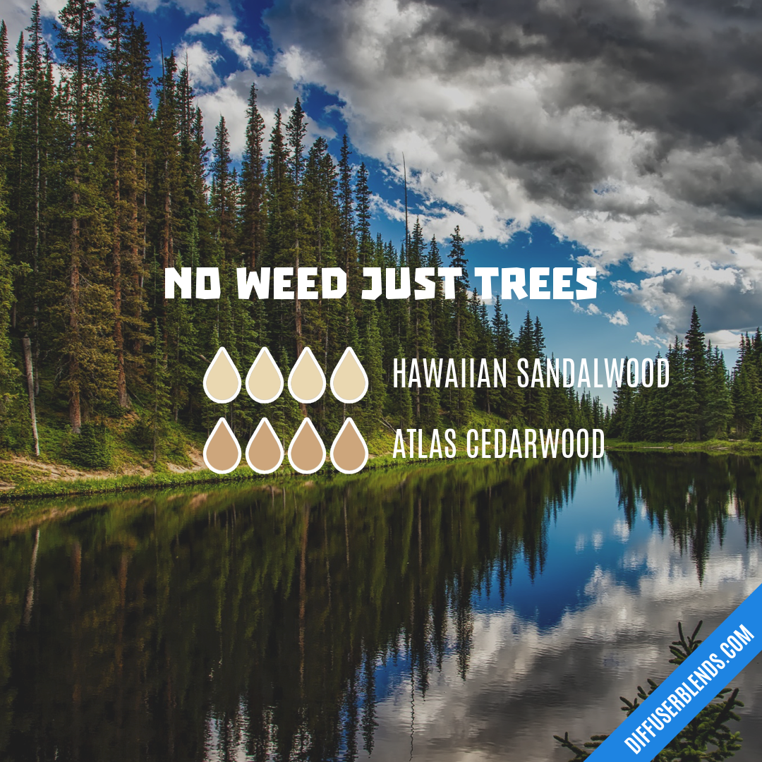 No Weed Just Trees — Essential Oil Diffuser Blend