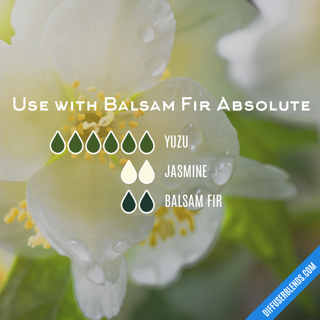 Use with Balsam Fir Absolute — Essential Oil Diffuser Blend