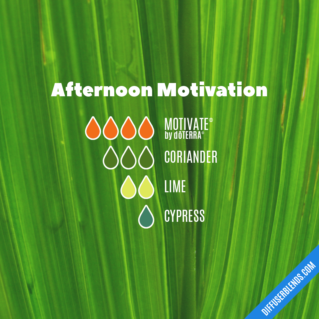 Afternoon Motivation — Essential Oil Diffuser Blend