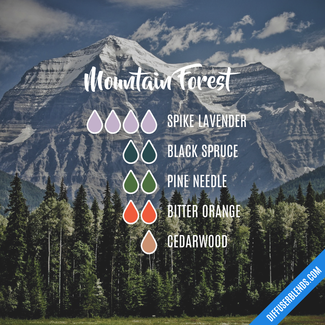 Mountain Forest — Essential Oil Diffuser Blend
