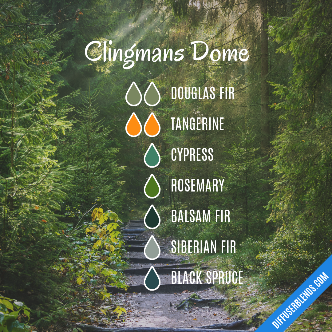 Clingmans Dome — Essential Oil Diffuser Blend