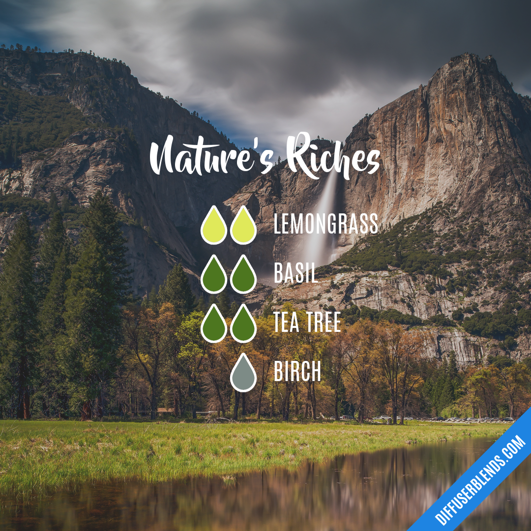 Nature's Riches — Essential Oil Diffuser Blend