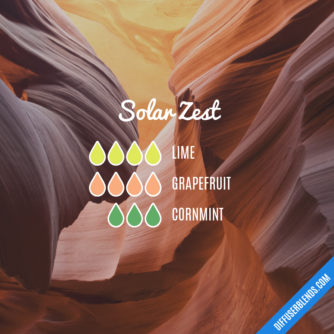 Solar Zest — Essential Oil Diffuser Blend