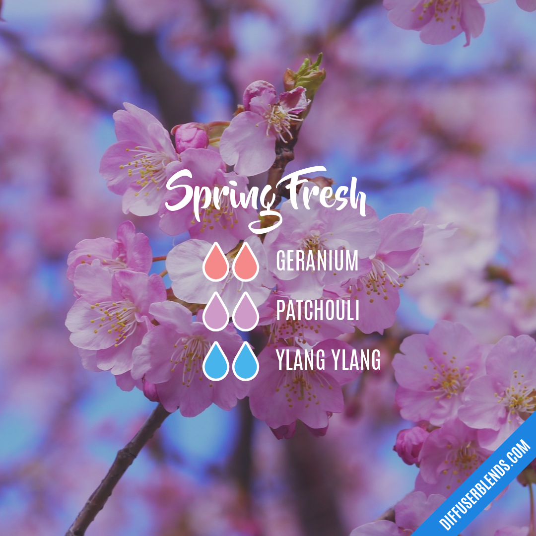 Spring Clean Diffuser Blend, Fresh Kitchen