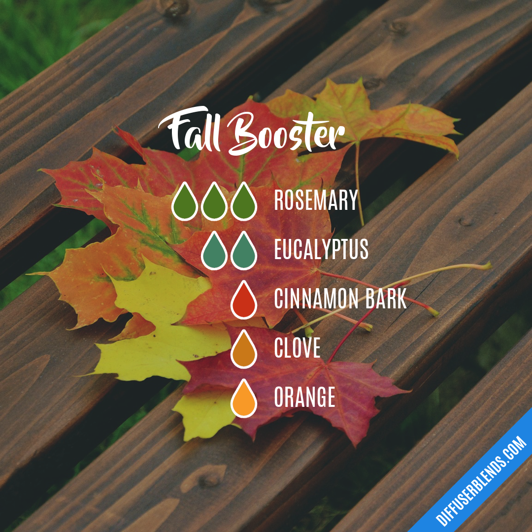 Fall Booster — Essential Oil Diffuser Blend
